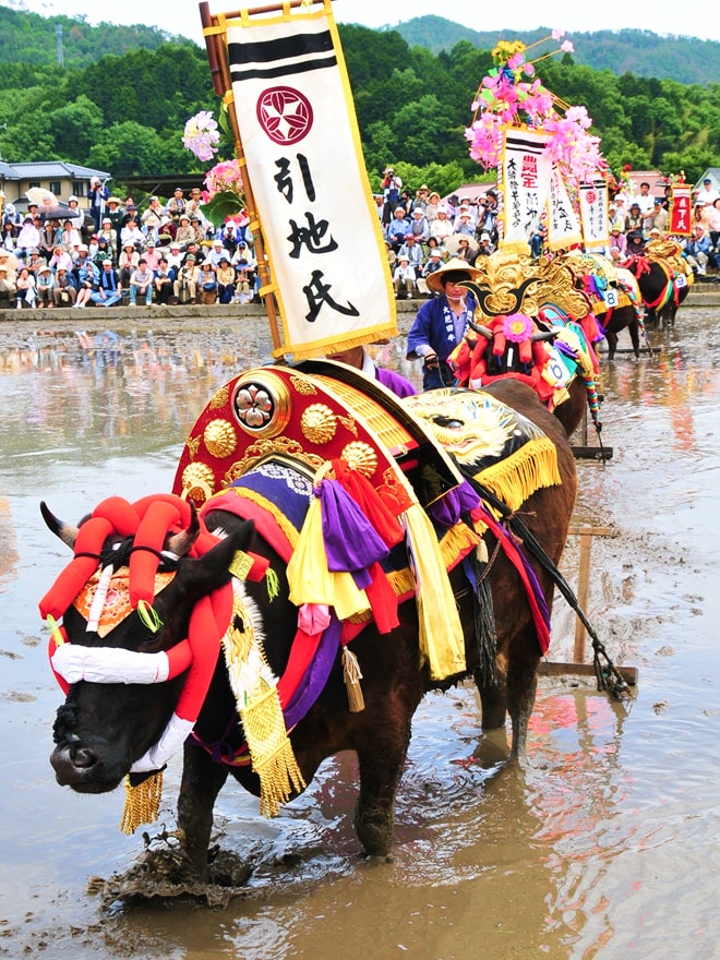 壬生花田植